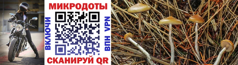 Галлюциногенные грибы мухоморы  Темрюк 